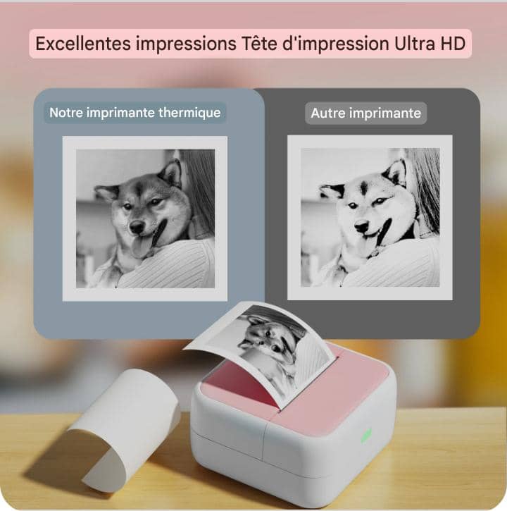 MINI IMPRIMANTE THERMIQUE PORTABLE